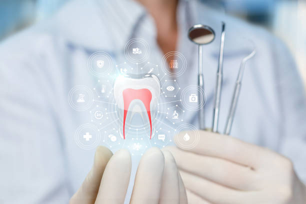 Trusted Rockport, TX Holistic Dental Care Services Experts